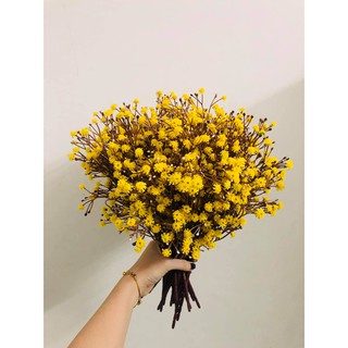 Cụm hoa bi nhỏ màu vàng decor xinh