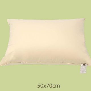 Gối Lông ngỗng cao cấp