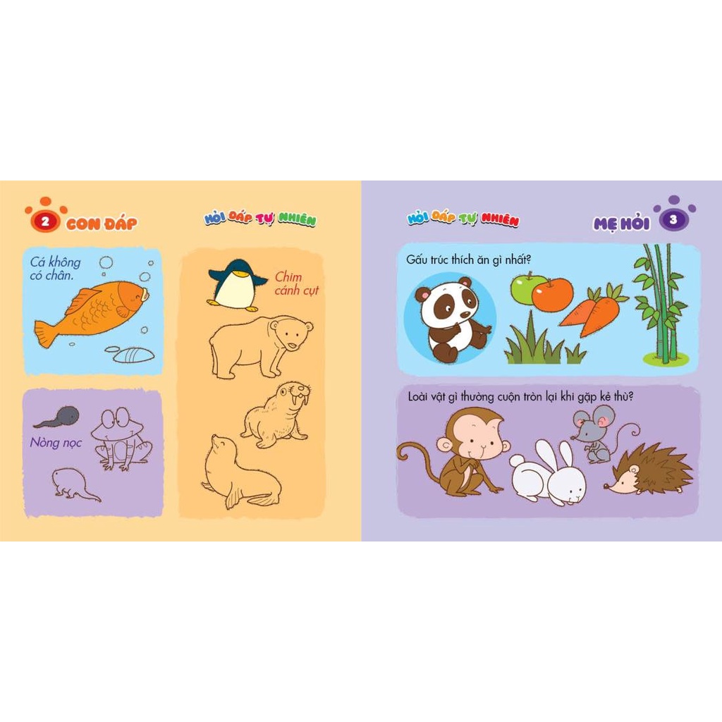 Sách- Mẹ Hỏi Con Đáp - Hỏi Đáp Tự Nhiên