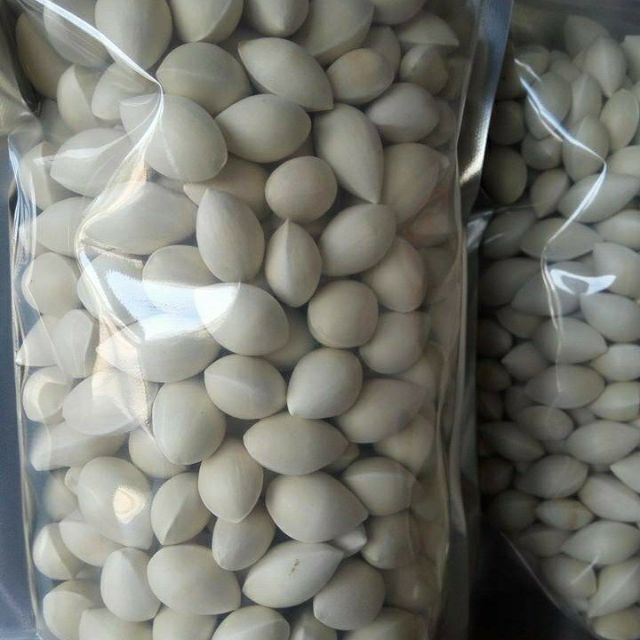 100 gr hạt bạch quả