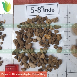 Đá núi lửa ( đá bọt) Indonesia Trồng Hoa Lan bao 50 Lít