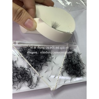 Mi fan voLum 5D (phụ kiện nối mi)