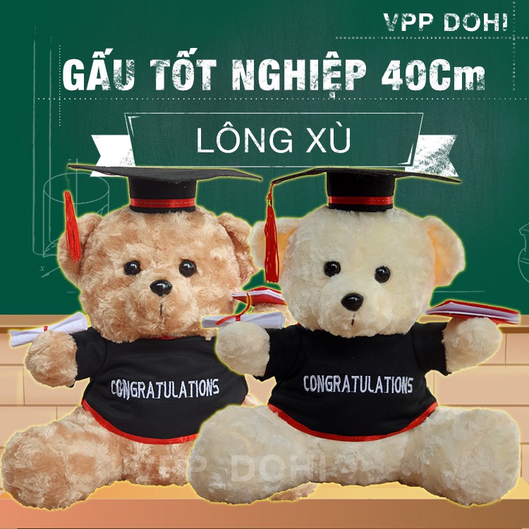 Gấu bông tốt nghiệp 40cm lông xù giá sỉ, tặng giấy gói quà