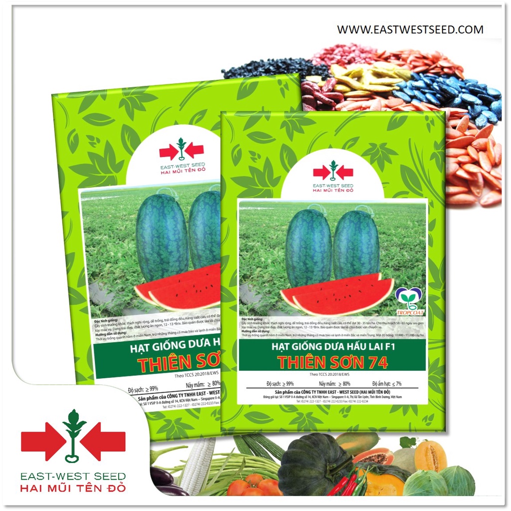 BỘ 2 GÓI 10 HẠT GIỐNG LAI F1 DƯA HẤU THIÊN SƠN 74 CỦA EAST-WEST SEED (HAI MŨI TÊN ĐỎ)
