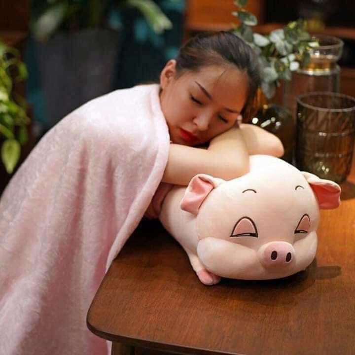 BỘ GỐI LỢN, CHUỘT KÈM CHĂN SIÊU MỀM MỊN