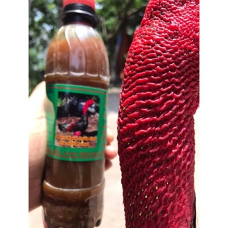 R.ượu Nghệ Tuấn Cận