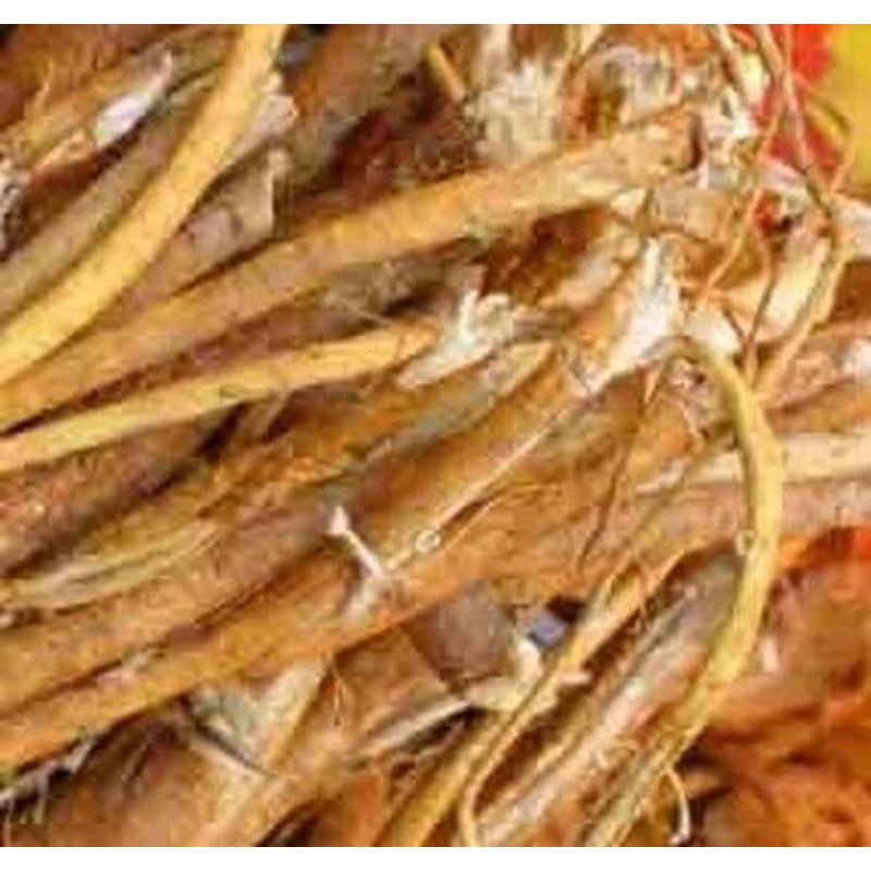 1KG Cây Vú Bò Khô