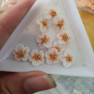 Hoa bột gắn móng tay