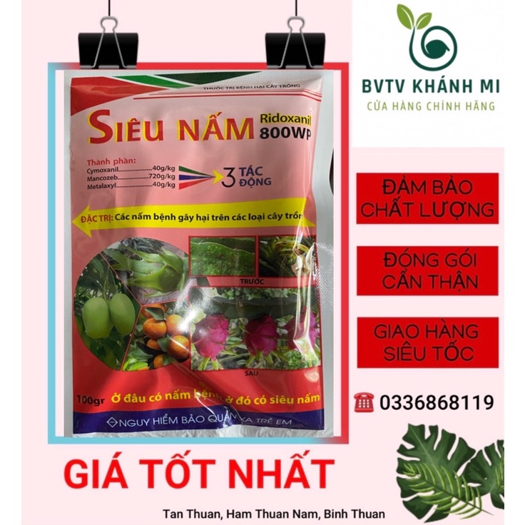 THUỐC PHÒNG & ĐẶC TRỊ BỆNH THỐI NHŨN CHO LAN MÙA MƯA - SIÊU NẤM 800 WP