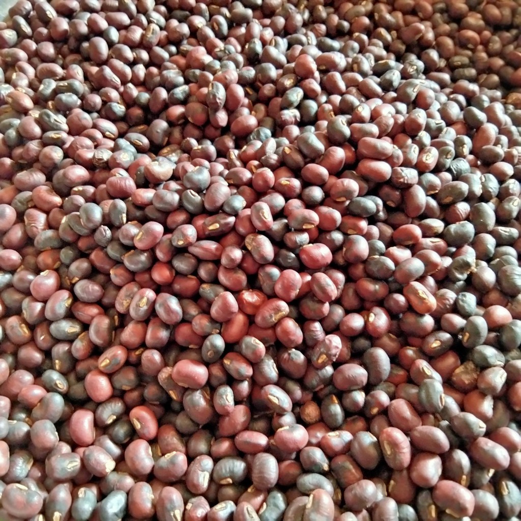 Trà Gạo lứt Đậu đen xanh lòng, Đậu đỏ, Hoa nhài, Lá dứa - Rang tay sẵn ❤️SIÊU THƠM❤️