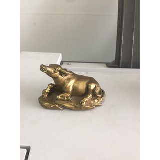 Tượng trâu đồng vàng đặt bàn