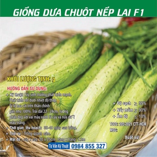 Hạt giống Dưa Chuột Nếp