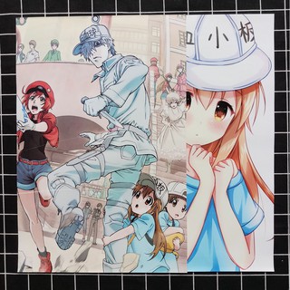 Poster Anime Tiểu Cầu (8 Tờ)