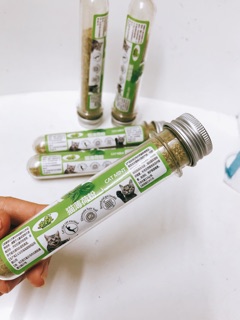 Cỏ mèo bạc hà khô Catnip