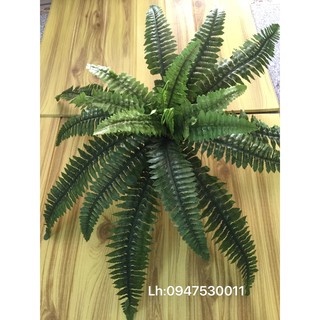 Cành dương xỉ - Cành trang trí - hoa giả, lá nhựa MS025 - Cành trang trí 025