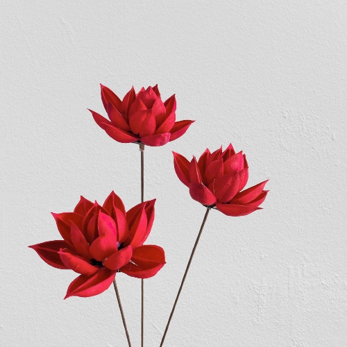 Hoa sen gỗ khô không nhụy - Decor, trang trí nhà cửa phong cách cổ điển vintage