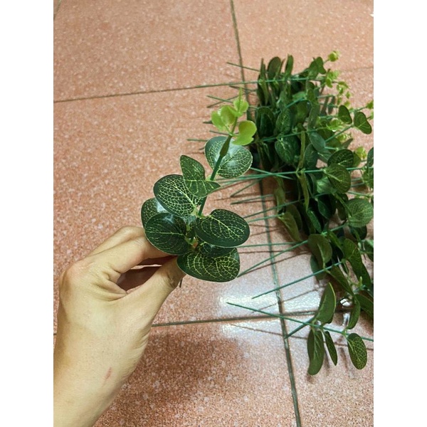 1 chiếc lá táo