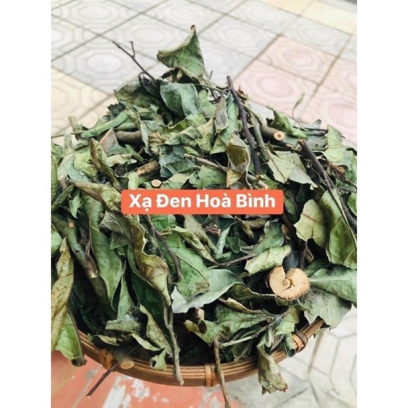 Trà XẠ ĐEN Hoà Bình tiêu u, bướu, mát gan thanh nhiệt