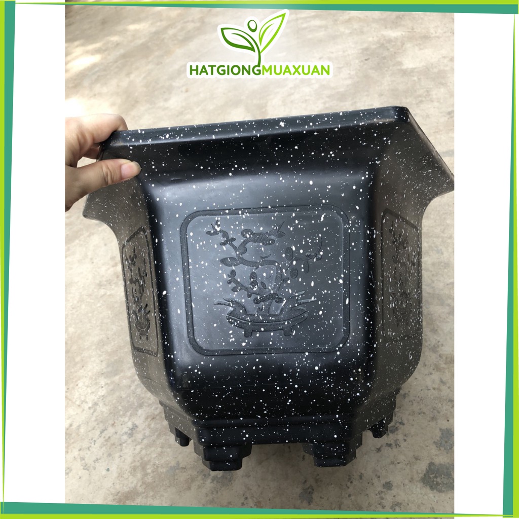 Set 5 Chậu nhựa lục giác Vân đá đen L21 kt 39x27cm