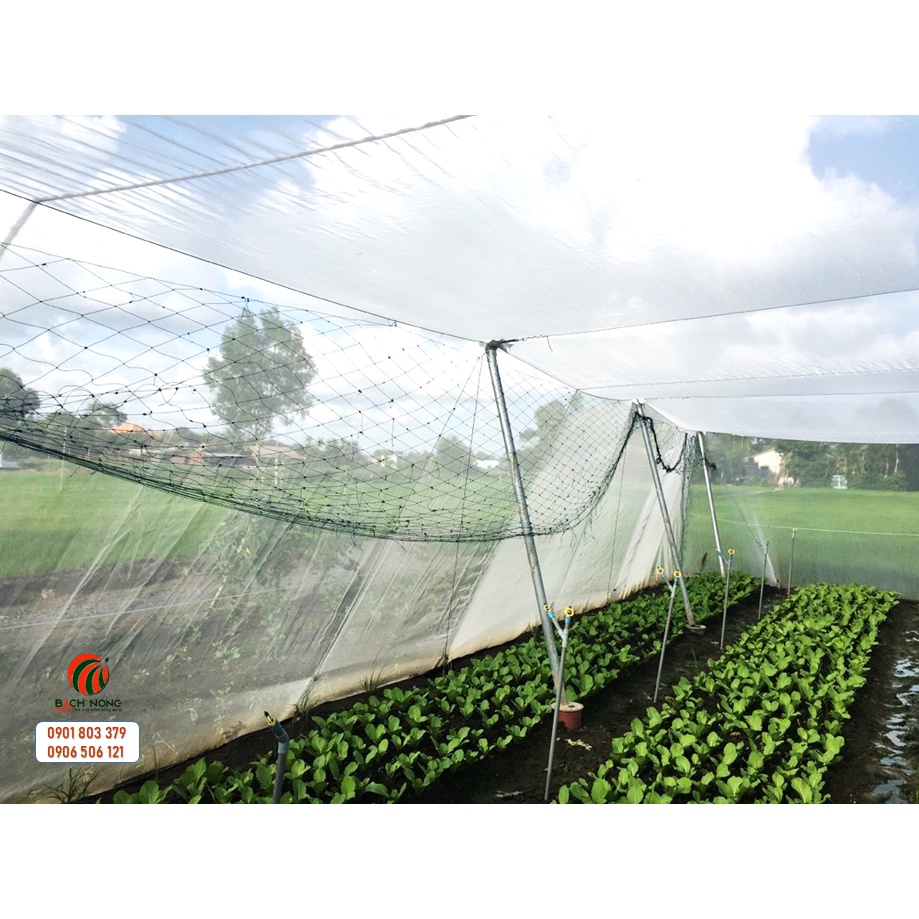 Lưới trồng rau ngăn côn trùng - Loại Tốt 18 mesh
