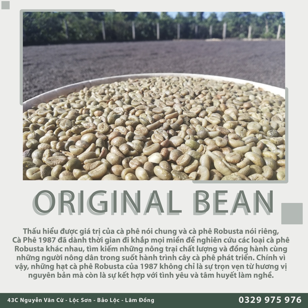 Cà phê nguyên chất 1987 - Robusta. | BigBuy360 - bigbuy360.vn