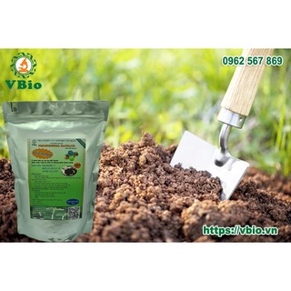 2 túi Men ủ sinh học Trichoderma - 1kg/túi