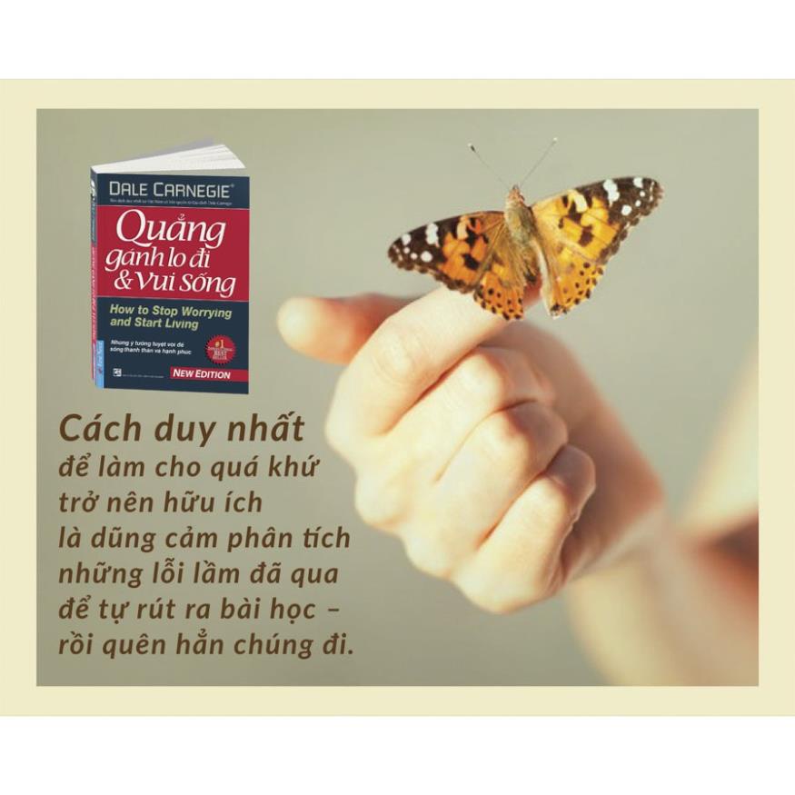 Sách - Combo 2 Cuốn: Đắc Nhân Tâm  + Quẳng Gánh Lo Đi Và Vui Sống  - First News