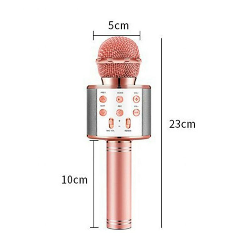 Loa Bluetooth Không Dây Ws858 / Mic Ws 858 Kèm Phụ Kiện