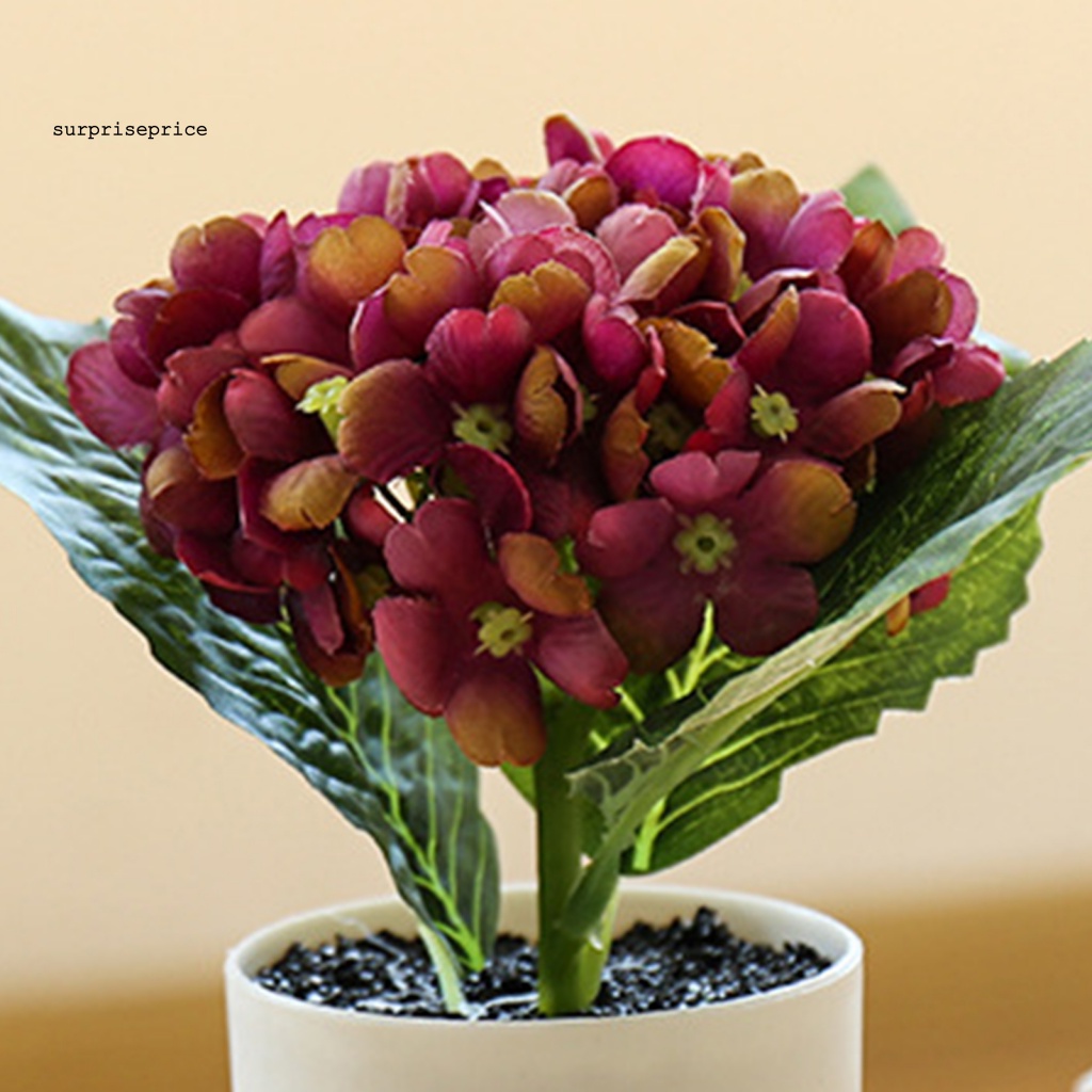 Chậu Cây Bonsai Nhân Tạo Chống Mòn Tiết Kiệm Không Gian Cho Khách Sạn / Bàn Làm Việc