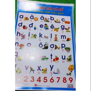 BẢNG CHỮ CÁI VÀ SỐ BẰNG GIẤY