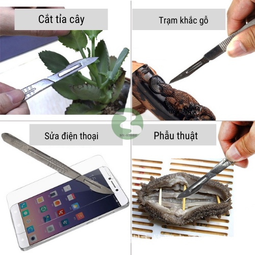 Dao mổ thú y Dương ninh Kèm 10 lưỡi dao số 23,11 DM08