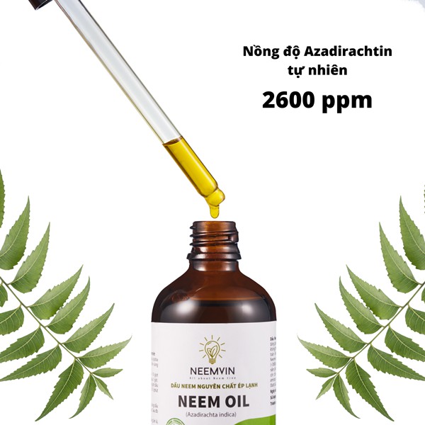 DẦU NEEM NGUYÊN CHẤT ÉP LẠNH - 100ml