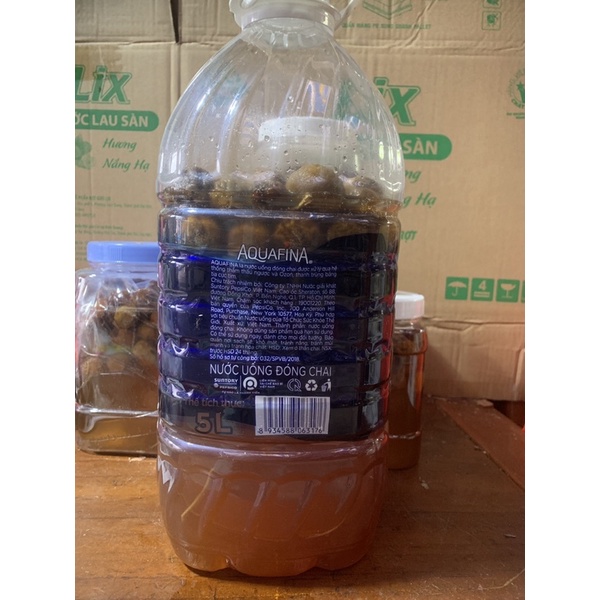 sỉ bình 5kg nước sấu ngâm đường gừng nhà làm