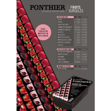 - Trái cây đóng hộp