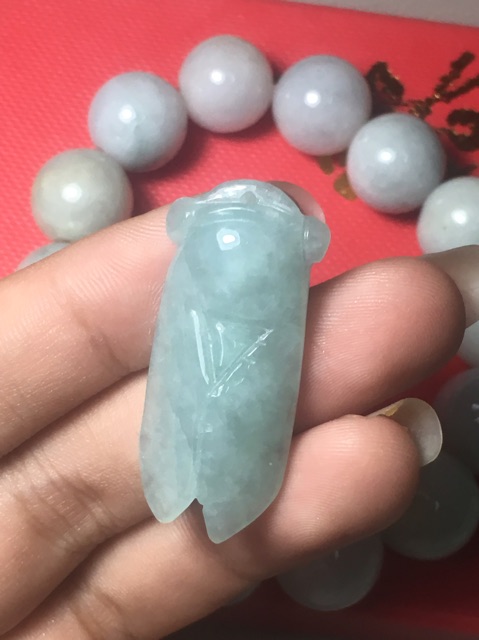 Ve sầu ngọc jade 