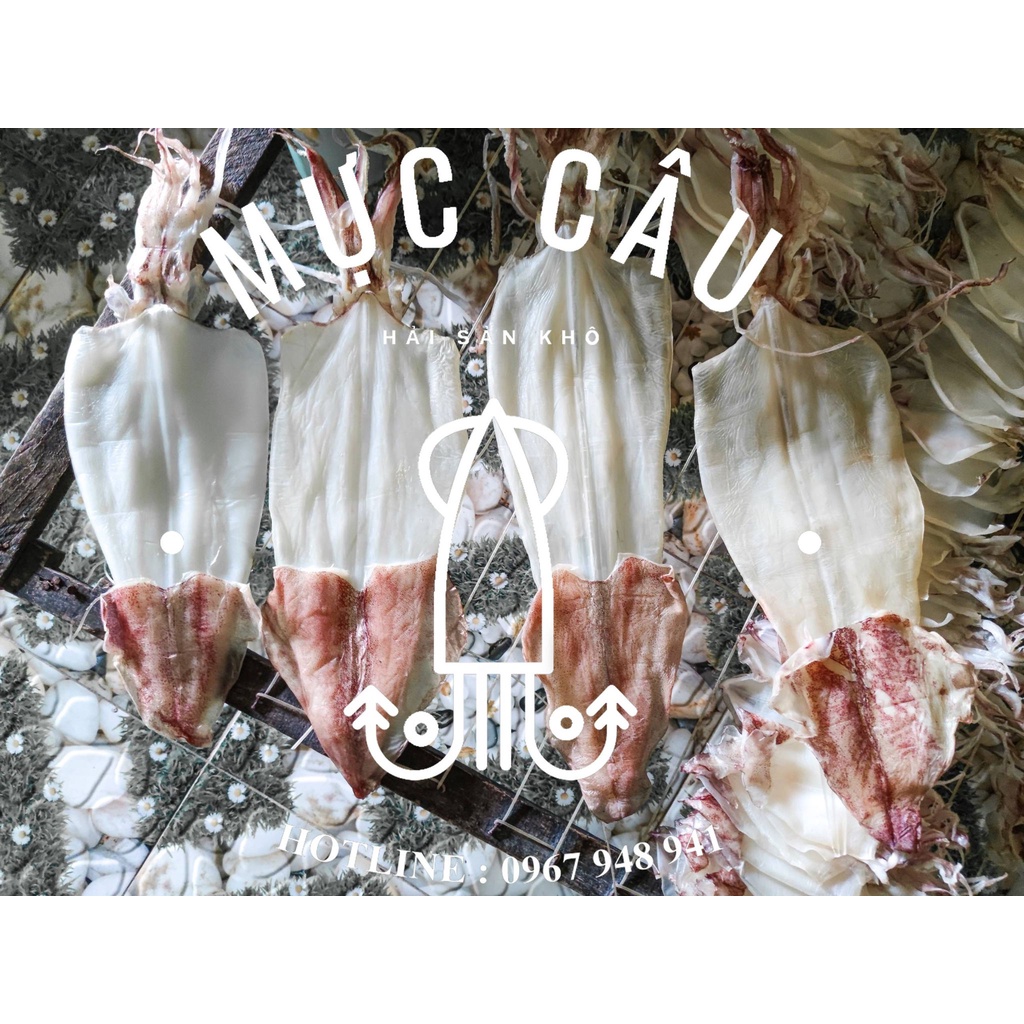 🦑ĐỒ ĂN VẶT🦑 1 con MỰC ỐNG Mực khô sấy khô size to - Đảm bảo ngọt, dày cơm | BigBuy360 - bigbuy360.vn