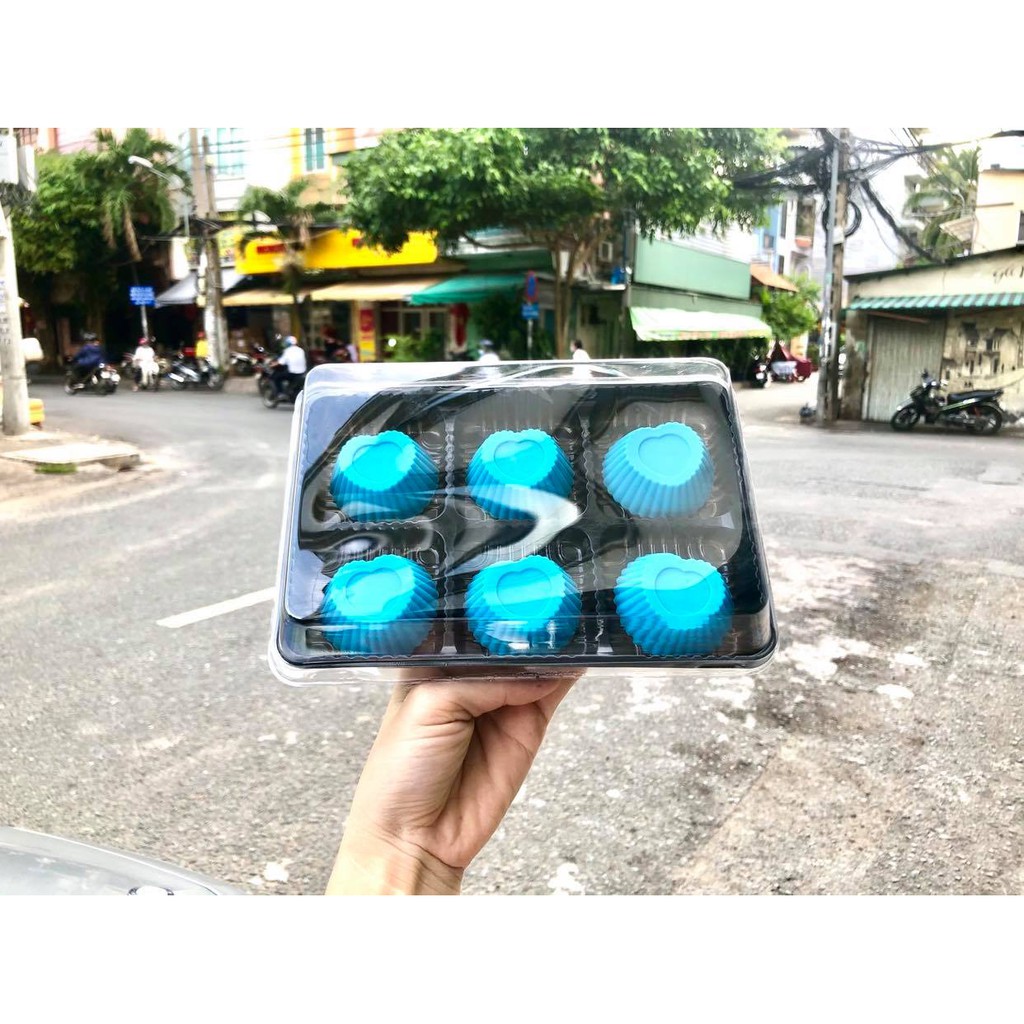 Hộp nhựa 6 ngăn vuông đế đen HT530