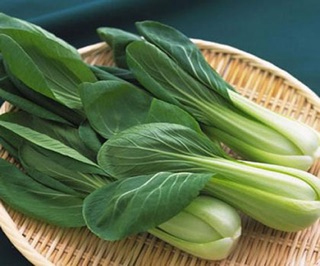 Hạt giống cải chíp cọng xanh