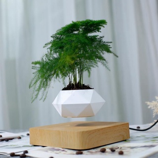 Lightshop9 - Chậu cây bay trang trí từ tính BonSai Bay Zero W Design