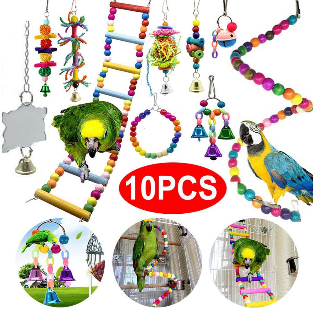 Bộ Đồ Chơi Bóng Treo Có Chuông Huấn Luyện Vẹt