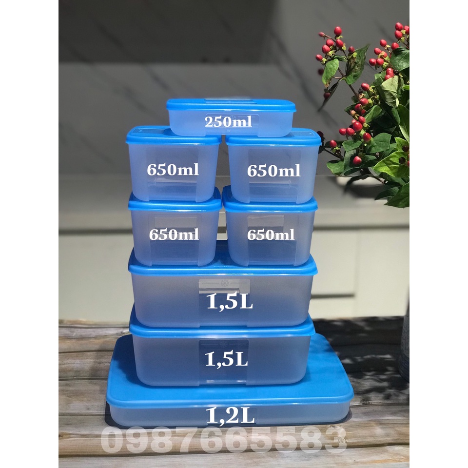 Set 8 Hộp trữ đông Freezermate đủ size Tupperware có hộp 1.2L