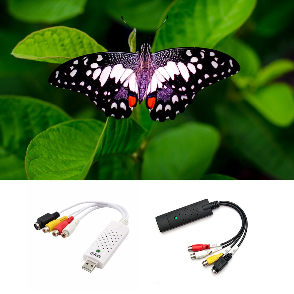 Bộ Chuyển Đổi Đa Năng Usb 2.0 Audio Tv Video Vhs Sang Dvd Pc Hdd | BigBuy360 - bigbuy360.vn