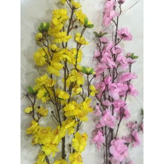 Combo 22 cành mai và 22 cành đào