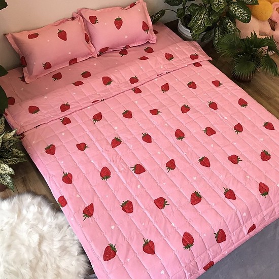 [SIÊU SALE] [HỔ TRỢ PVC] Xả kho giá rẻ bộ drap giường cotton poly mát mịn (chọn mẫu) | BigBuy360 - bigbuy360.vn