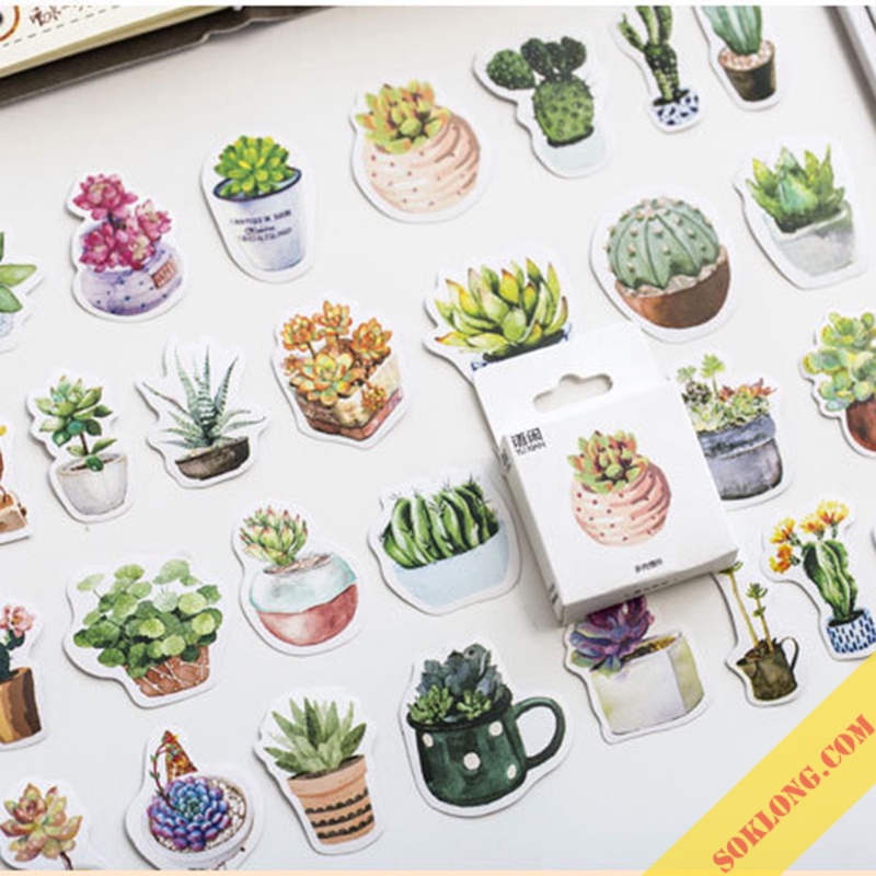 Hộp 50 Sticker Hoa Đá, Xương Rồng STI51 hộp nhãn dán vintage trang trí bullet journal, sổ tay