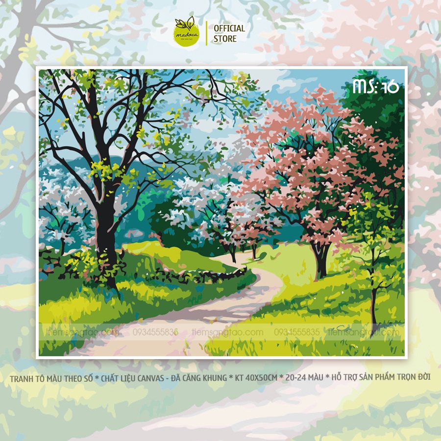 Tranh tô màu 40x50cm có khung Đường xuân T16