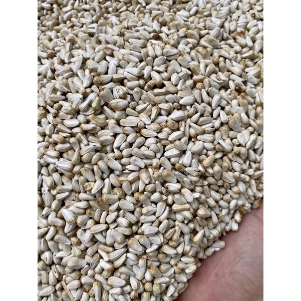 Hạt Kham- Thức ăn cho gà,vẹt,hamster, chim