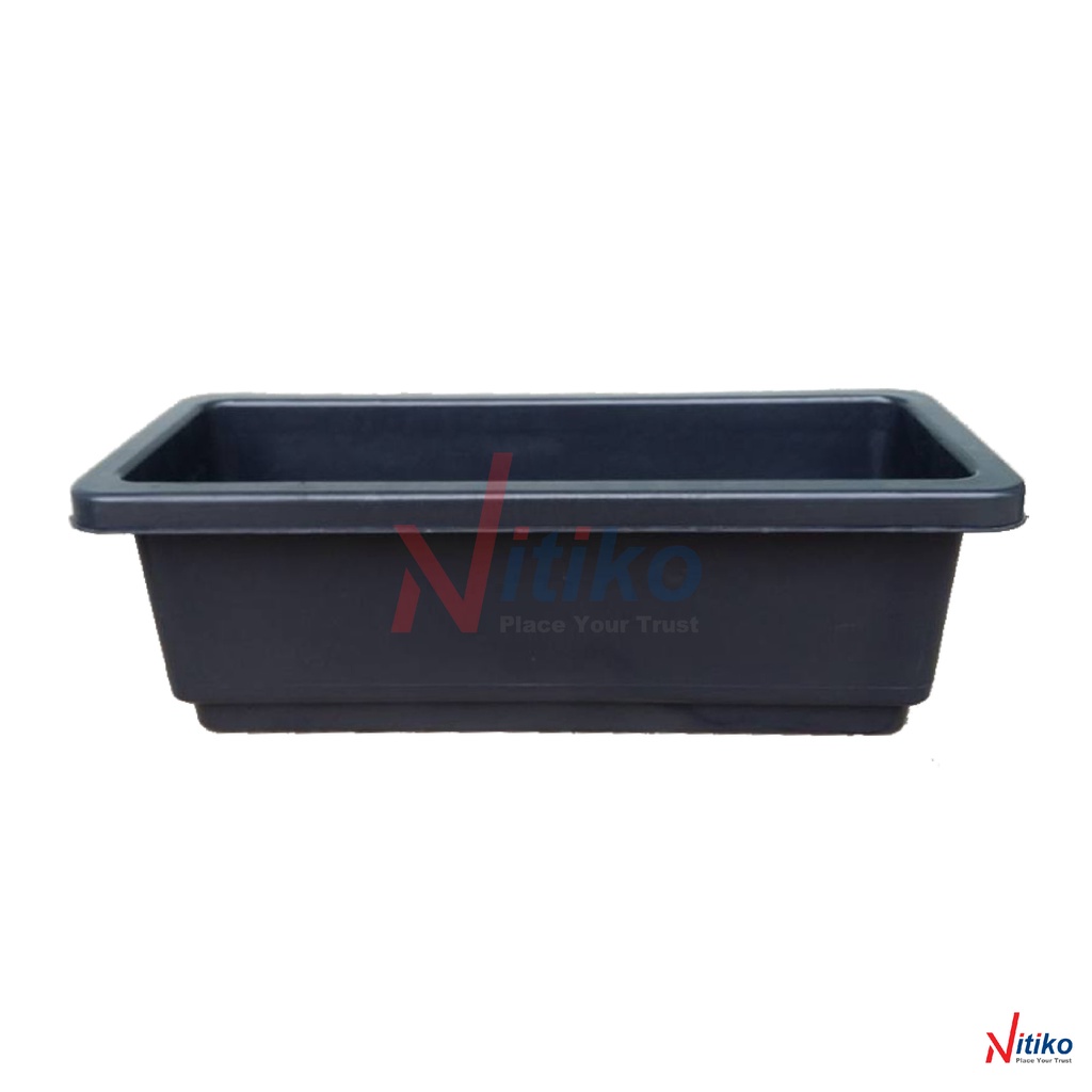 Khay nhựa trồng rau sạch tại nhà