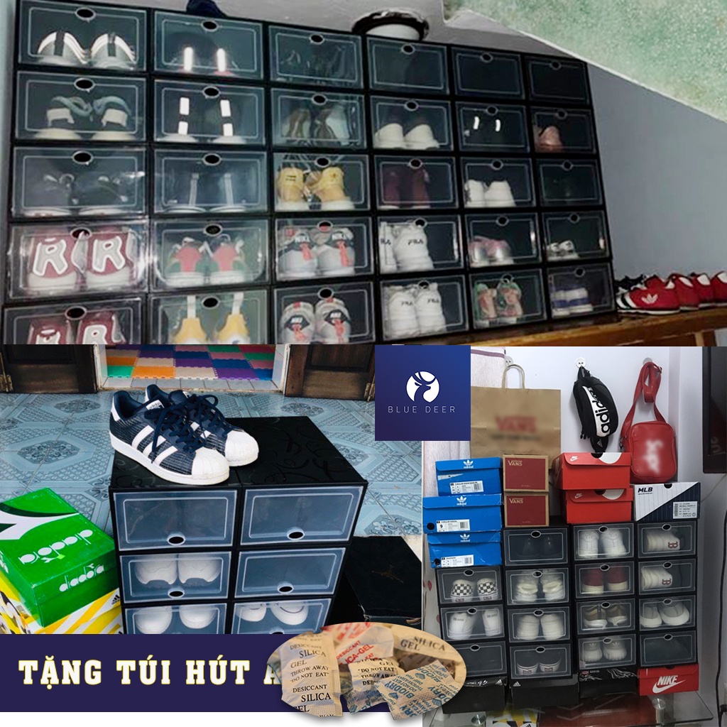 Hộp đựng giày nắp nhựa cứng trong suốt full đen cá tính - Box Sneaker New - Blue Deer