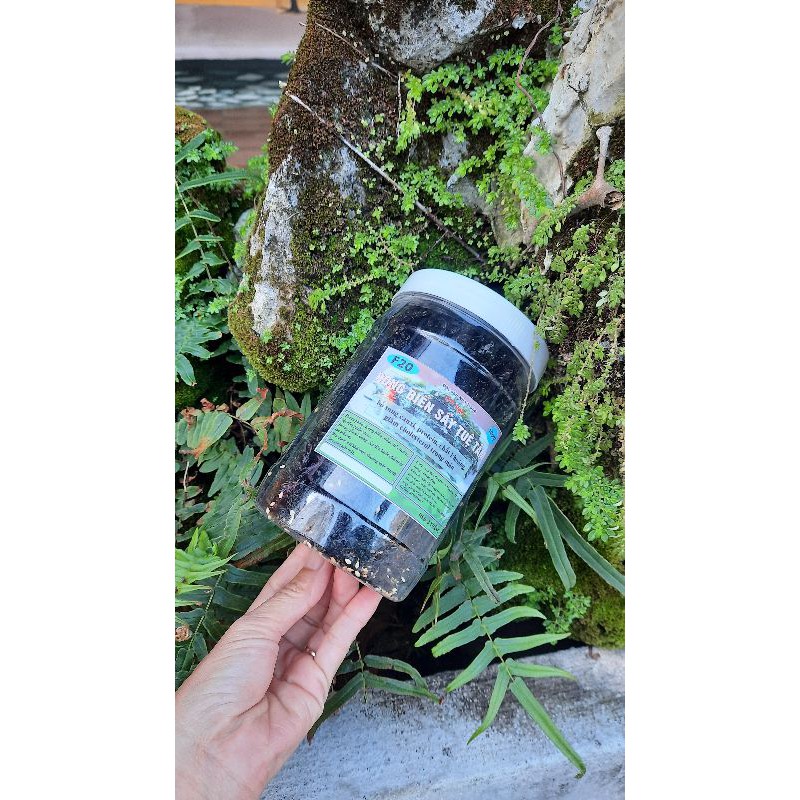 Combo 2 hũ Rong Biển Sấy Mè Tuệ Tâm (Mỗi hũ 100gr) - Ăn Liền, ăn chay ăn mặn đều dùng được - Rong Biển Sấy Giòn